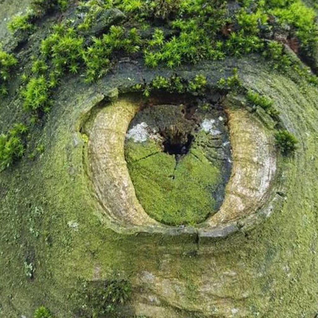 "Eye of the Rock: Unraveling the Enigma of a Tearful Formation - A Natural Phenomenon to Spark Your Wonder"