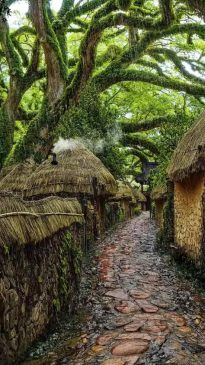 Journey Through Enchanted Village Chronicles: Exploring A Timeless Realm Where Magic Has No Boundaries - Nature and Life