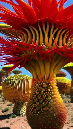 Mother Nature's Magnificent Display: The Annual Extravaganza Of Giant Blooms - Nature and Life