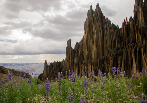 Uncovering the Mysteries of Bolivia's Valley of Souls: A Journey Through a Unique Landscape ‎ - Mnews