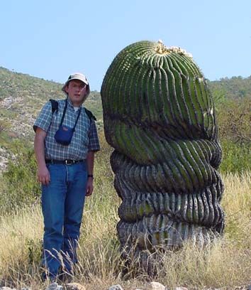 Uncovering the Magnificent Tale of a 200-Year-Old Giant Sagwaro Tree That Is Amazing and Leaves Everyone in Wonder – Bestbabies.info