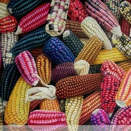 A Visual And Sensory Spectacle: The Splendor Of Multicolored Corn - Nature and Life