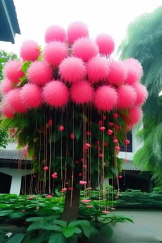 Prepare to be awestruck by the tree adorned with colossal, luminous blossoms that illuminate the heavens.vouyen