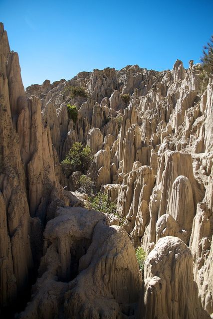 Uncovering the Mysteries of Bolivia's Valley of Souls: A Journey Through a Unique Landscape ‎ - Mnews