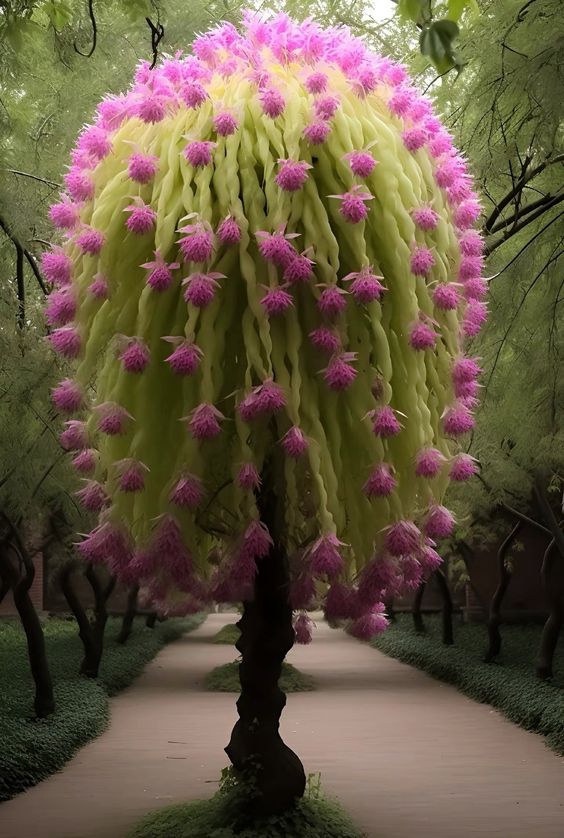 Mother Nature's Magnificent Display: The Annual Extravaganza Of Giant Blooms - Nature and Life