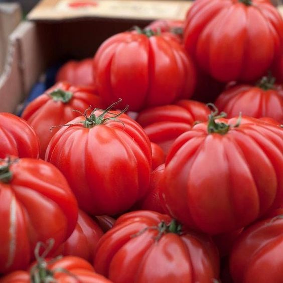 Savoring The Culinary Delight: Exploring The Unique Flavor Of Ribbed Belly Tomatoes - Nature and Life