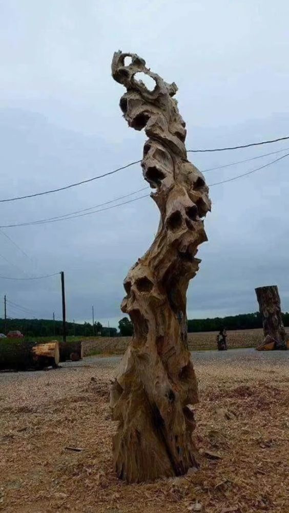 Unveiling the Mystery of the Sinister Sculptor: The Terrifying Tree's Enigmatic Tale‎ - Mnews