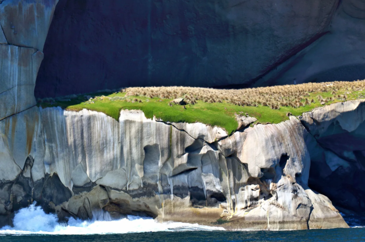 The Mysterious Charm of Skull Island: A Place to Marvel at, Yet Prohibited to Step Foot On ‎ - Mnews