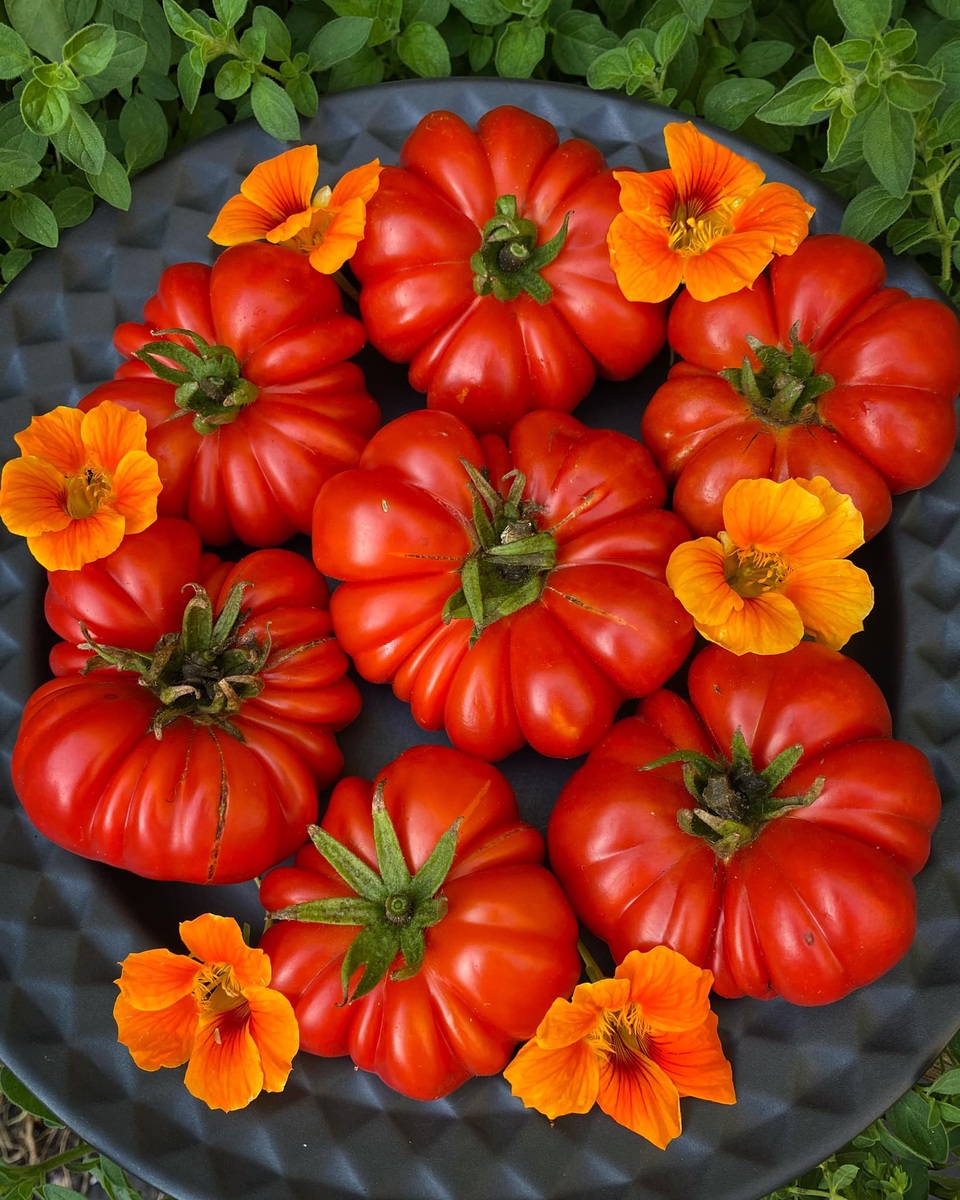 Savoring The Culinary Delight: Exploring The Unique Flavor Of Ribbed Belly Tomatoes - Nature and Life