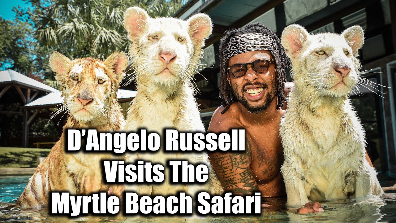 D'Angelo Russell Swims With Tigers! | Vlog - YouTube