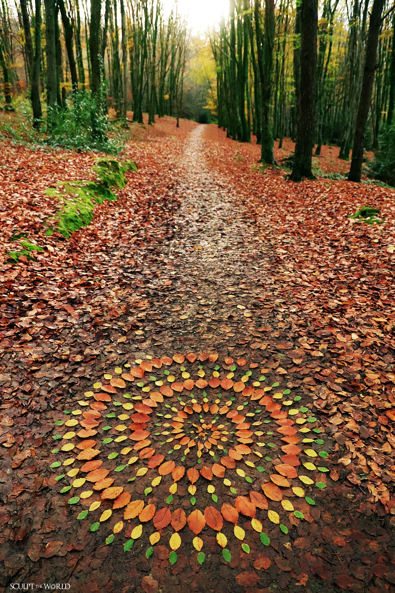 Experience the awe-inspiring work of land artist Jon Foreman, who skillfully arranges 15 striking autumn leaves, creating a visual masterpiece that captures the essence of the season.vouyen