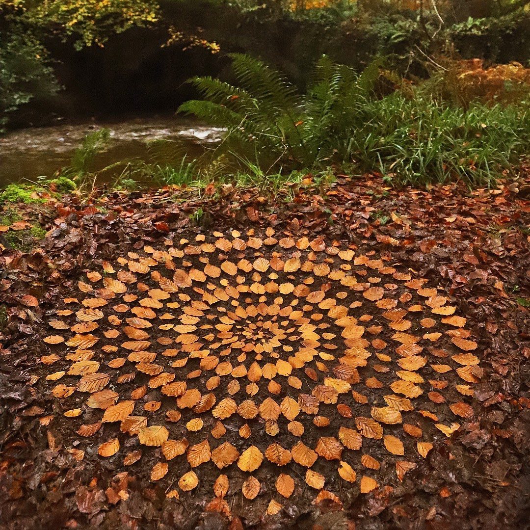 Experience the awe-inspiring work of land artist Jon Foreman, who skillfully arranges 15 striking autumn leaves, creating a visual masterpiece that captures the essence of the season.vouyen