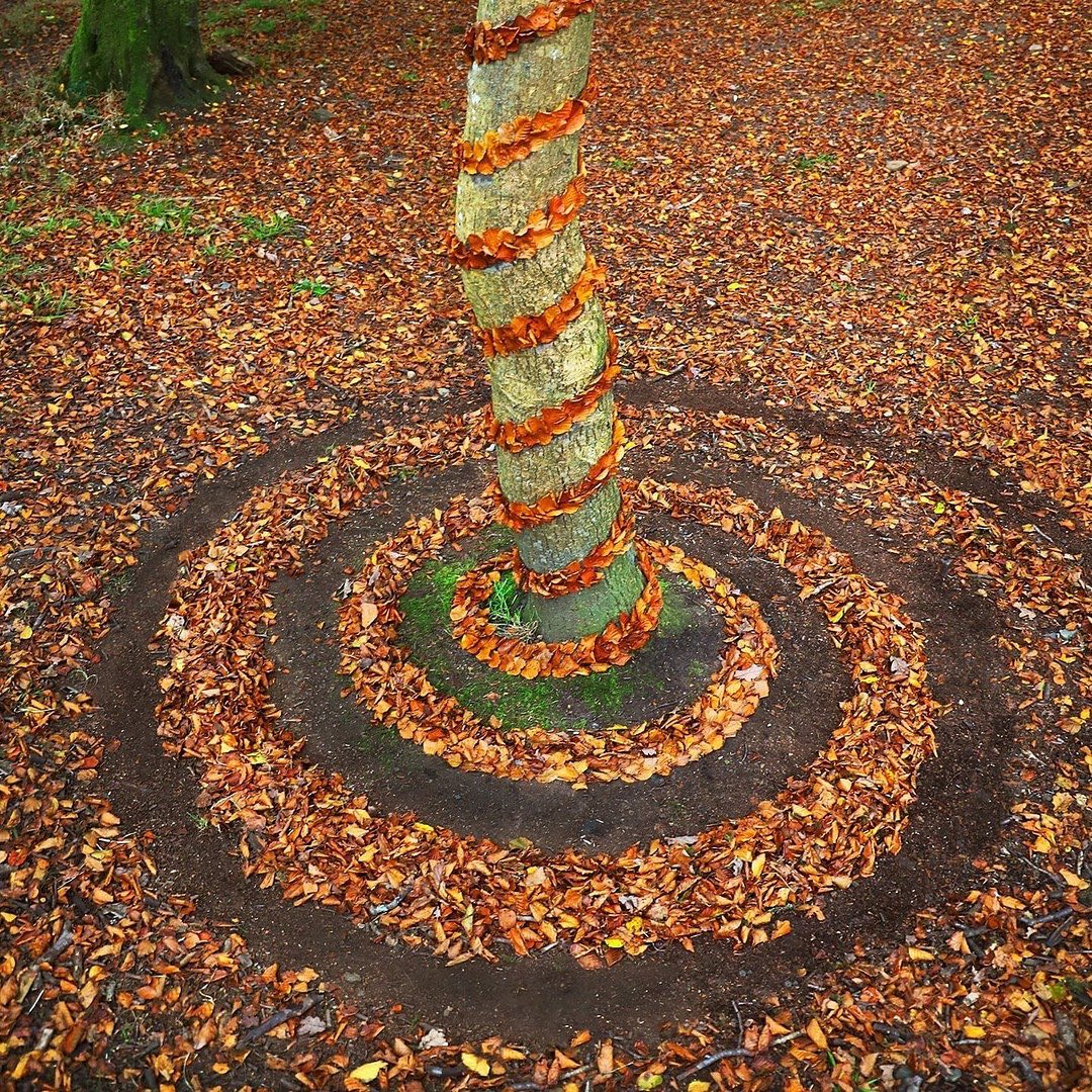 Experience the awe-inspiring work of land artist Jon Foreman, who skillfully arranges 15 striking autumn leaves, creating a visual masterpiece that captures the essence of the season.vouyen